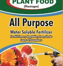 All Purpose Plant Food (20.20.20) 250G