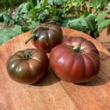 Tomato Black Krim Seeds heirloom Vegetable Seeds