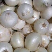 Onion White Seeds F1 Vegetable Seeds
