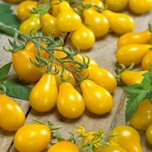 Cherry Tomato Yellow Pear Shaped Seeds Vegetable Seeds