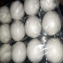 Balls Plastic balls for kids (PACK OF 12)