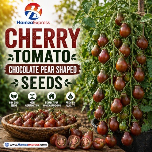 Cherry Tomato Choclate Pear Shaped Seeds Vegetable Seeds