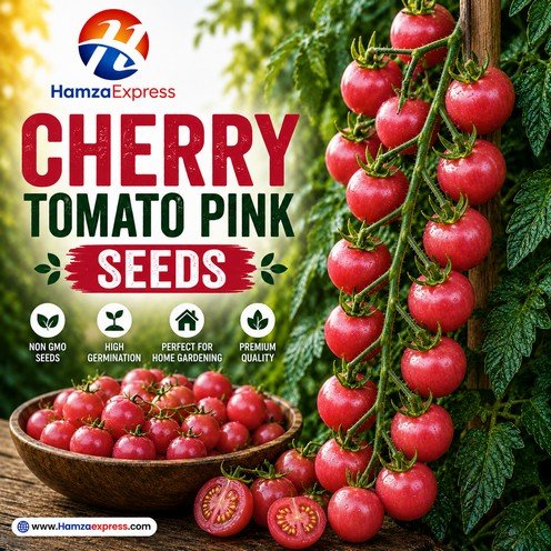 Cherry Tomato Seeds Pink Colour Vegetable Seeds
