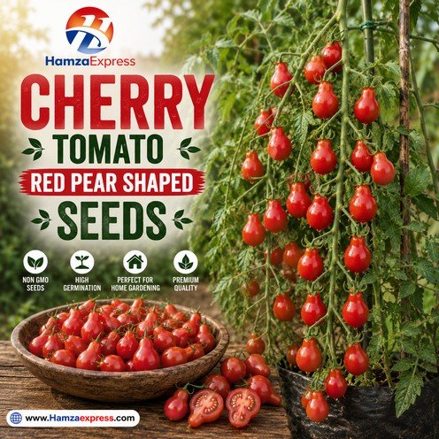 Cherry Tomato Red Pear Shaped Seeds Vegetable Seeds
