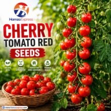 CHERRY TOMATO RED SEEDS