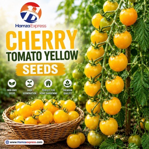Cherry Tomato Seeds Ola Polka BY HAMZA EXPRESS