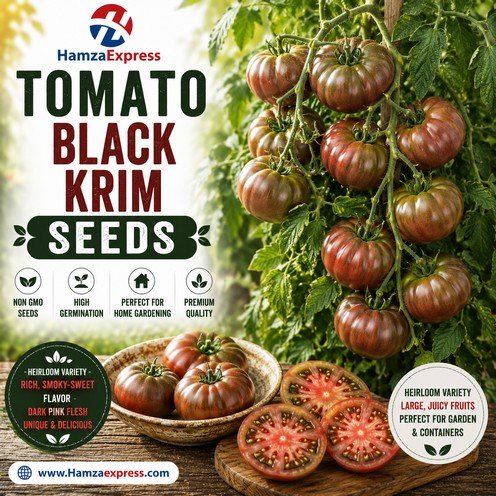 Tomato Black Krim Seeds heirloom Vegetable Seeds