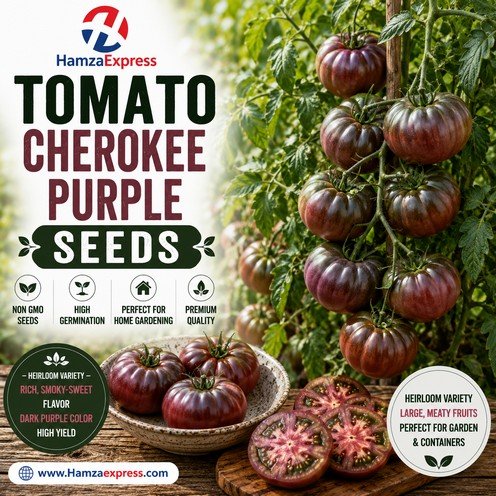 Tomato Cherokee Purple Seeds heirloom Vegetable Seeds