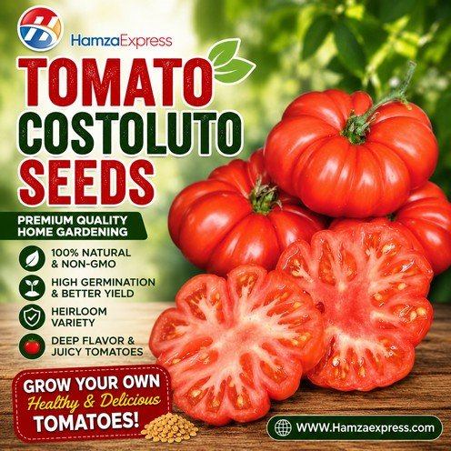 Tomato Costoluto Seeds heirloom Vegetable Seeds By Hamza Express