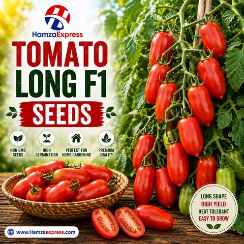 Tomato Seeds F1 Long Vegetable Seeds