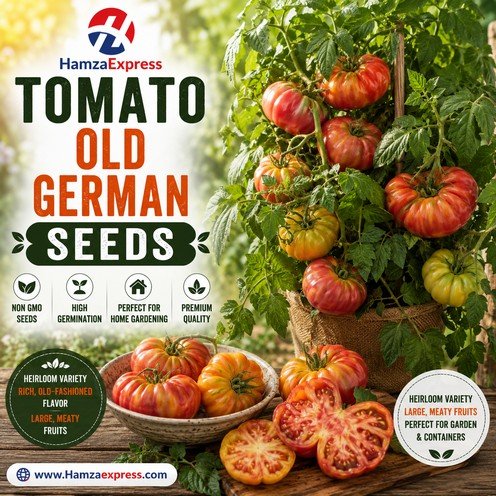 Tomato Old German Seeds heirloom Vegetable Seeds