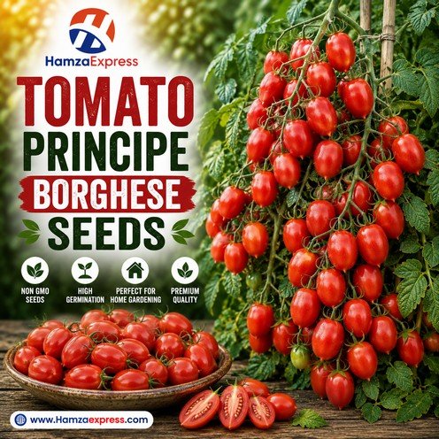 Tomato Principe Borghese Seeds heirloom Vegetable Seeds