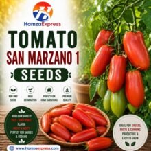 TOMATO SAN MARZANO 1 SEEDS