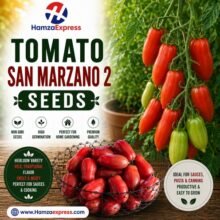 TOMATO SAN MARZANO 2 SEEDS