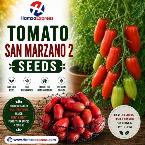 Tomato San Marzano 2 Seeds heirloom Vegetable Seeds