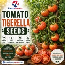 TOMATO TIGERELLA SEEDS