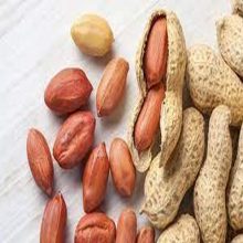 Peanut 1KG Premium Quality Dry fruits