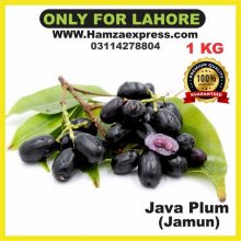 Java Plum ( Jamun ) 1kg Bag Premium Quality Fruits