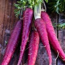 Carrot Cosmic Purple Seeds Vegetable Seeds