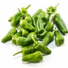 Pepper Pepperone Padron New Variety Vegetable Seeds