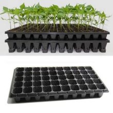Seedling Tray 50 Holes imported Best For Seedling PACK OF 1