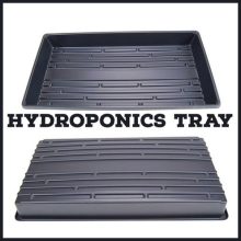 Hydroponics Bottom Watering Tray Pack Of 1