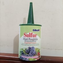 Sulfur Plant Fungicide 100g BY IZHAR