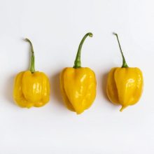 Habanero yellow Pepper Seeds F1 imported Vegatable Seeds