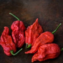 HOT Pepper Seeds Bhut Jolokia Or Redhost Rare Variety