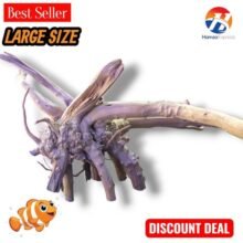 Fish Aquarium Natural Tree Trunk Large Size New Plant Wood Decoration BY HAMZA EXPRESS
