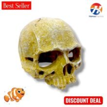 Fish Aquarium Fiber Decoration Skull Small 5 Inches BY HAMZA EXPRESS