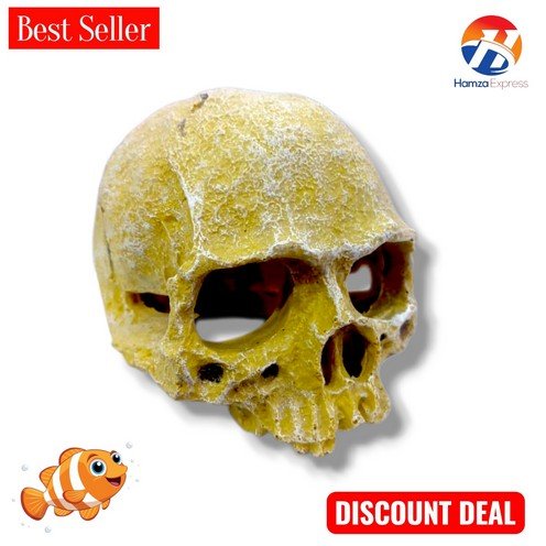 Fish Aquarium Fiber Decoration Skull Small 5 Inches BY HAMZA EXPRESS