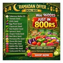 Ramadan Offer Deal Box For Gardening Lovers