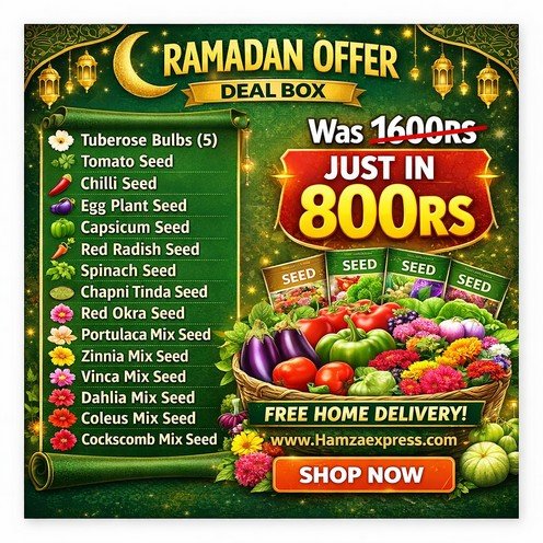 Ramadan Offer Deal Box For Gardening Lovers